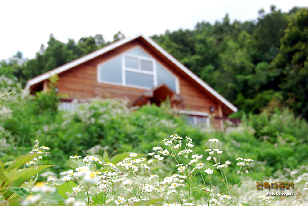 단양 방부채널사이딩 조립식주택과 개망초꽃 